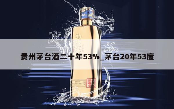 贵州茅台酒二十年53%_茅台20年53度