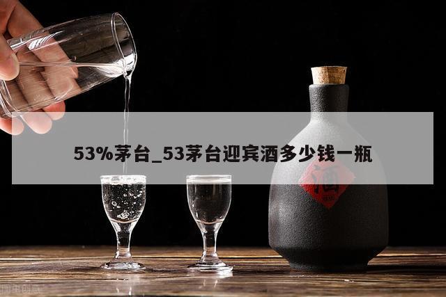 53%茅台_53茅台迎宾酒多少钱一瓶